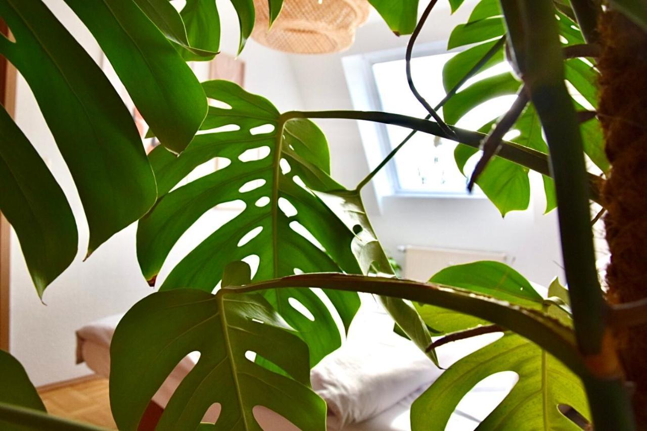Greenbnbs: Cozy Urban Jungle In The City Centre Essen Exteriör bild