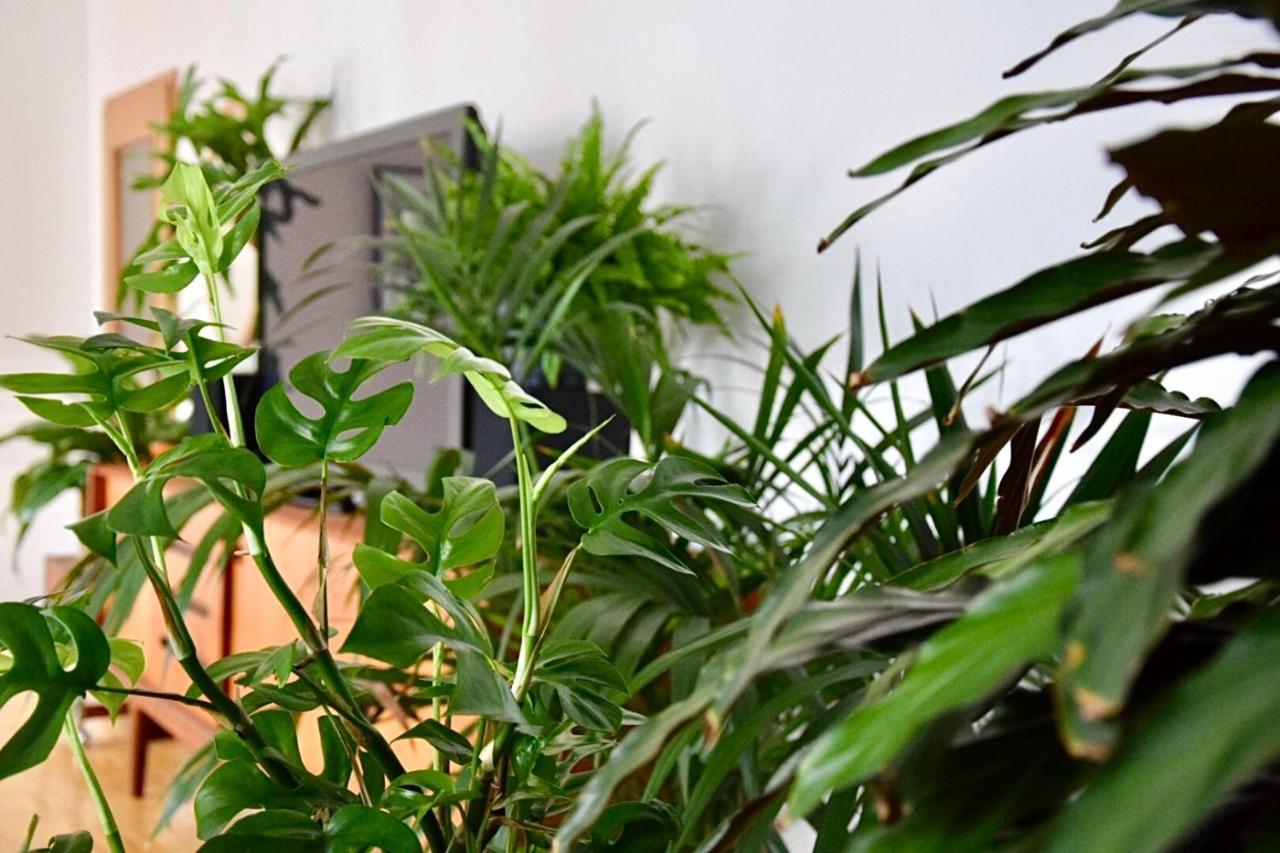 Greenbnbs: Cozy Urban Jungle In The City Centre Essen Exteriör bild
