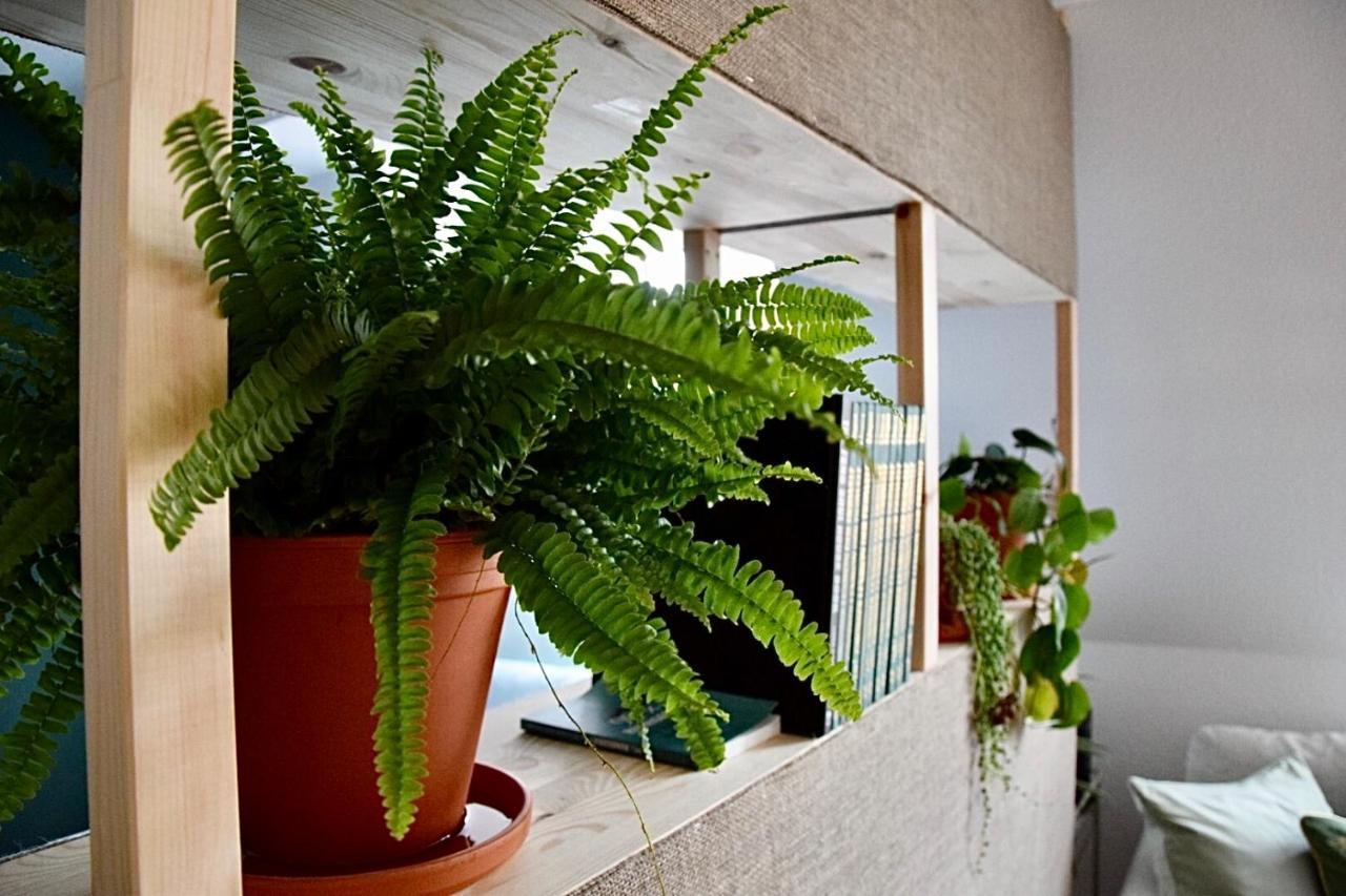 Greenbnbs: Cozy Urban Jungle In The City Centre Essen Exteriör bild